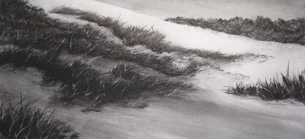Charcoal drawing of a dune landscape with grasses.
Houtskool tekening van een duinenlandschap met grassen.