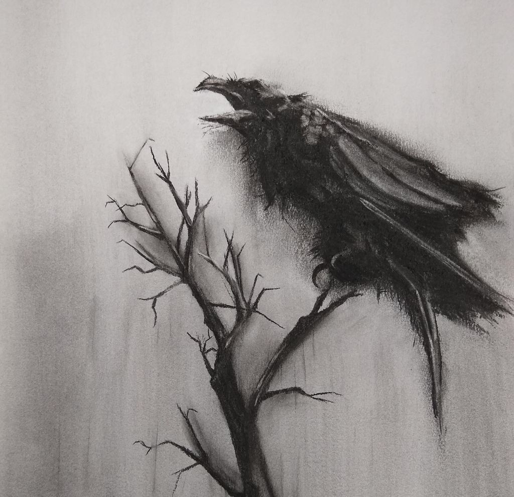 Charcoal drawing of Raven Nevermore.
Houtskool tekening van de raaf Nevermore.