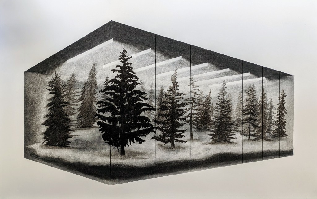 Boxed Trees